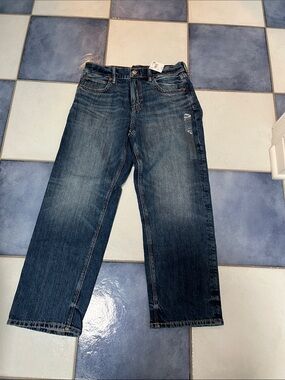 American Eagle Outfitters Dark Blue Low Rise Strigid Ex Boyfriend Jeans
